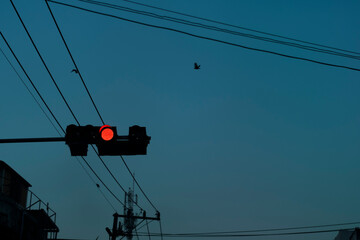 Silhouette of a traffic light