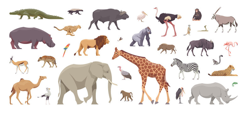 Flat set of african animals. Isolated animals on white background. Vector illustration