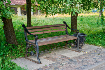 Empty wooden bench with cast-iron railings in the park under a tree. Nearby there is a cast-iron rubbish bin.