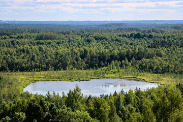 Landscape with bog lake and forests forests