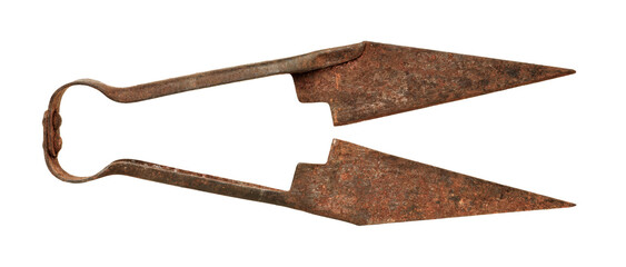 Pair of very old rusty sheep scissors