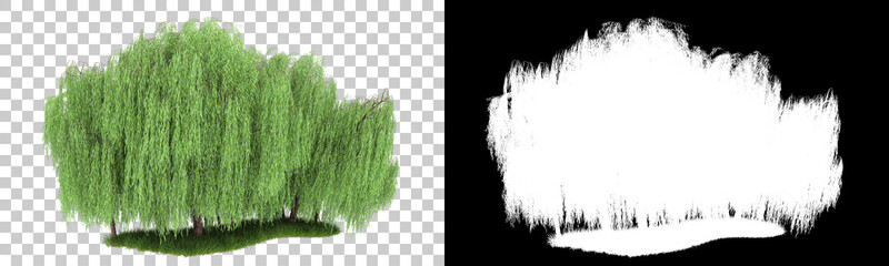 Forest isolated on background with mask. 3d rendering - illustration