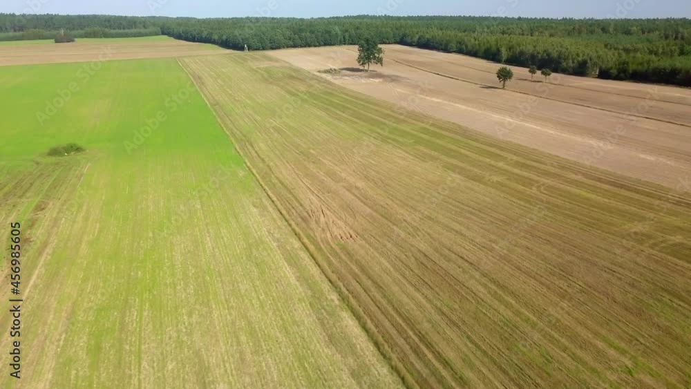 Poster Autumnal fields in Poland. Aerial landscape from drone.