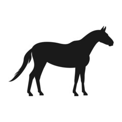 Horse vector silhouette. Farm animal silhouette