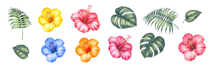 Watercolor elements of blooming hibiscus. Tropical set garden flowers. Collection botanic illustration leaves, flower and branches. © Kotkoa