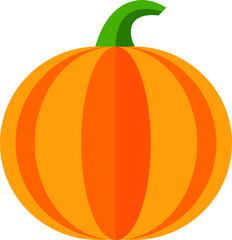 pumpkin illustration