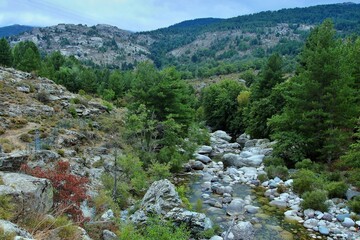 Corsica-view of the river Golo