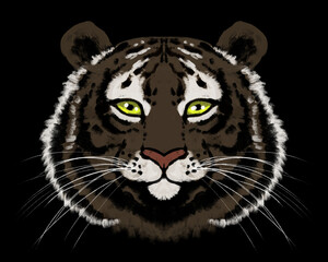 elegant portrait of a dark tiger with green eyes on a black background.