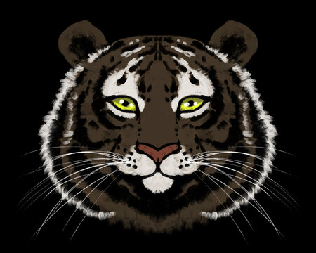 elegant portrait of a dark tiger with green eyes on a black background.