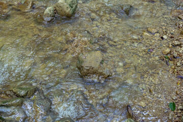 Mountain rivers originating high in the mountains, a journey through the canyon of the river on a sunny summer day, under the canopy of the forest, not well-traveled tourist routes.