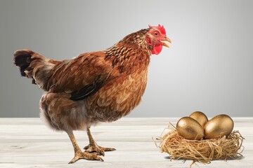 Brown chicken or hen with collection of fresh eggs