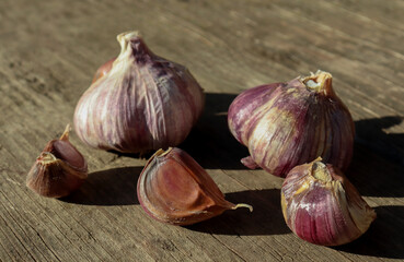 Garlic grown by farmers lies on a wooden board and dries in the sun. The concept of growing vegetables in the garden