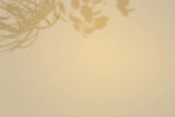 Summer minimal background with shadow from the natural leaf on light paper