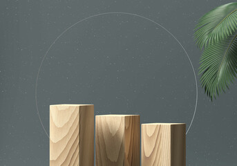 Wooden podium showcase for product with palm leaves 3d render