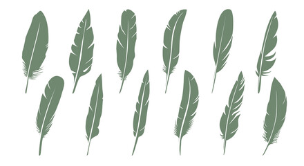 Set of grey bird feathers on white background. Vector Illustration and outline Icons.