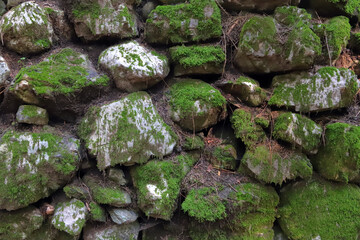 Pietre con muschio, Stones with moss