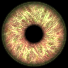 Illustration of a color human iris on black background. Digital artwork creative graphic design.