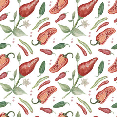 Chili pepper spices watercolor hand drawn illustration. Print textile patiern seamless set background, spicy food