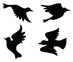 Set with birds silhouettes over white background, Vector illustration