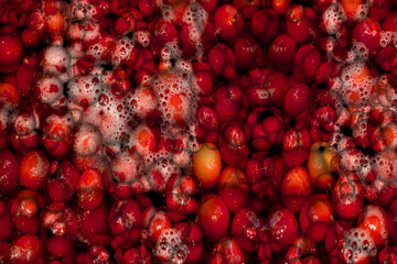 red cherry compote, close view