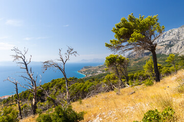 Fototapeta na wymiar Kroatische Küste bei Makarska, Kroatien