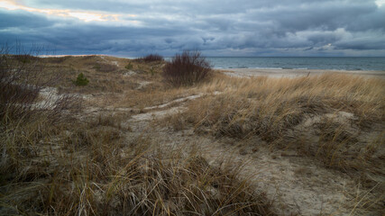 Fototapeta Jesienny pejzaż morski. Wydmy porośnięte trawą o wysokich źdźbłach. Ciemne chmury zwiastują sztorm. obraz