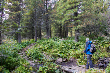 Obraz premium man trekking in the mountains, Alps in Austria, Steiermark