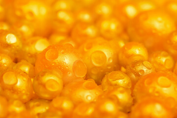 Beautiful background with pearl gold pearls, top view. Abstract texture for festive backgrounds. Shiny yellow surface of Christmas decorations. Gems close-up. Golden bright background.