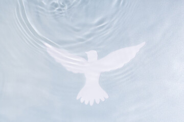 Fototapeta Silhouette of white dove on water background. Baptism symbol. obraz
