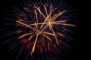 Fototapeta premium color fireworks in night sky