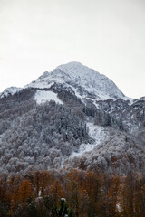 Obraz premium Snow-covered forest in autumn at a snowy mountain peak