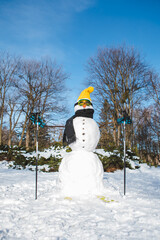 Obraz premium snow man with ski goggles