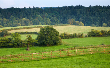 Obraz premium Saturation in the setting sun