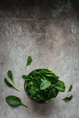 Leaves of fresh baby spinach in a Bowl.