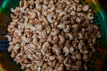 Cashew nuts in Africa (Ghana)