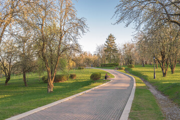 Fototapeta premium Path in the park on a sunny day