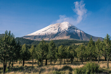 Volcano with trees and snow