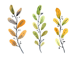 Watercolor Autumn Plants. Hand painted illustration of Fall Flowers with orange and green leaves. Set of herbs on white isolated background. Design for wedding invitations or postcards