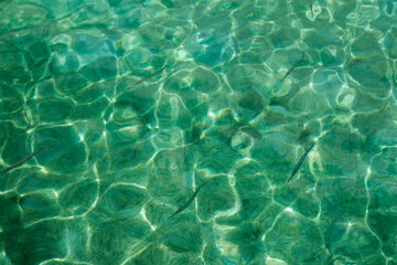 Obraz premium Wasseroberfläche - Poolwasser