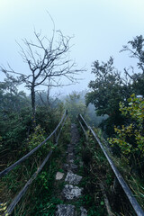 Waldstein im Fichtelgebirge in magischem Morgennebel