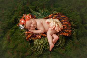Newborn baby in cute fox outfit sleeps in a green forest with moss and grass set up in studio. ....