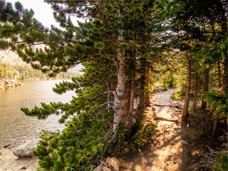Golden hour with sun shining through the pine trees along a hiking trail in the Rocky Mountains with a lake framing the view.