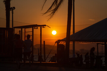 Fototapeta premium exercício ao por do sol com vento batendo nas folhas da arvore silhueta e sombra