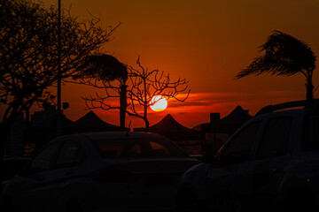 Fototapeta na wymiar por do sol entre galhos secos num fim de tarde laranja com ventos