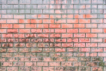 Red brick wall of the dirty fence.