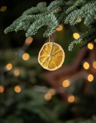 Christmas background with hanging dried orange slice