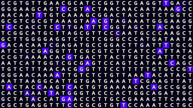 Loopable: Genetic mapping DNA sequence analysis abstract background with letters A,G,C,T in grid with blue squares. Big genomic data analysis concept.