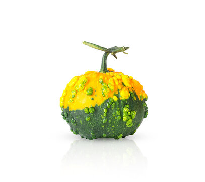 Trendy ugly organic yellow and green pumpkin isolated on white background