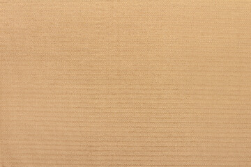 Fototapeta na wymiar Texture backdrop photo of beige colored corduroy fabric cloth.