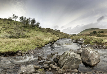Stream in a field covered in greenery under a stormy sky in the countryside